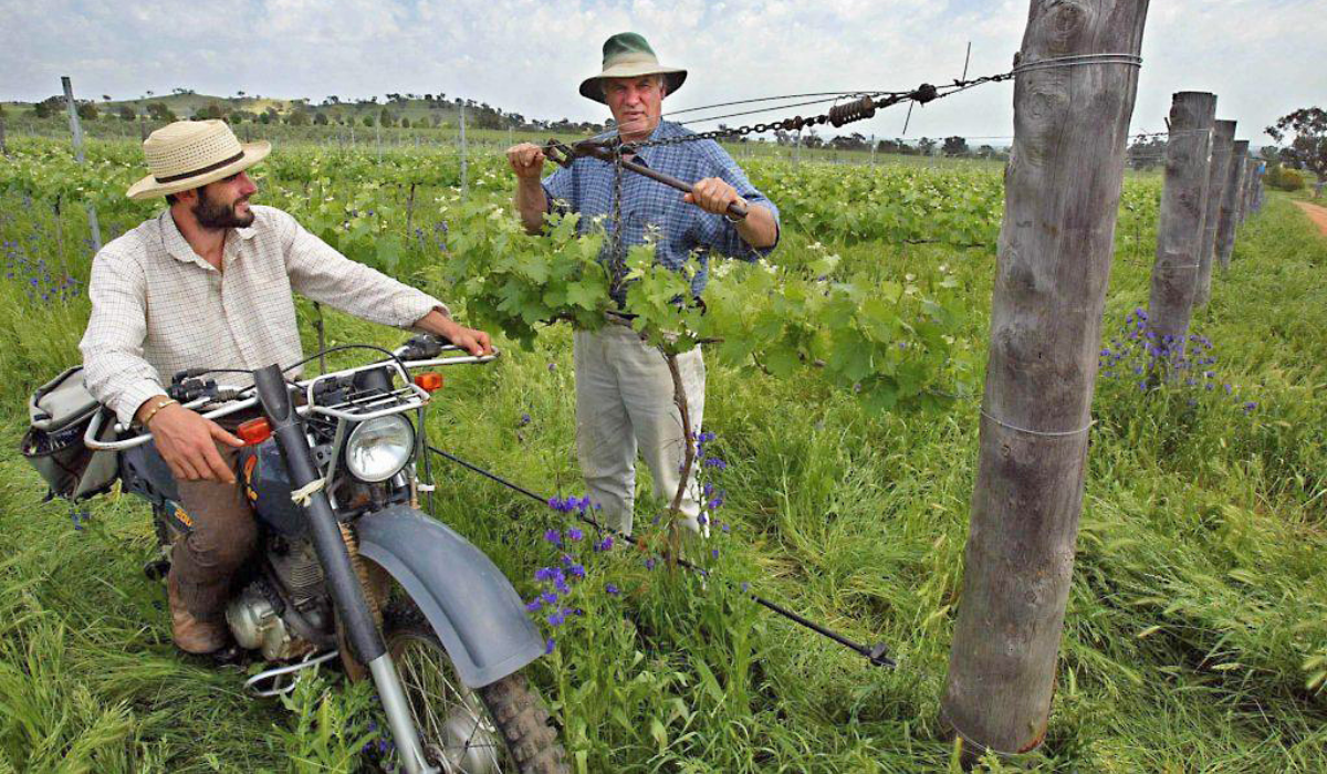Richard Statham and son in the Rosnay Vineyard